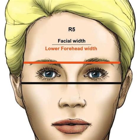 Ratios Of The Face And Forehead In Attractive White Women And Men