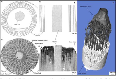 Figure From Computed Tomography As A Characterization Tool For