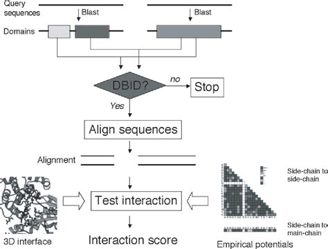 Pdf Interprets Protein Interaction Prediction Through Tertiary