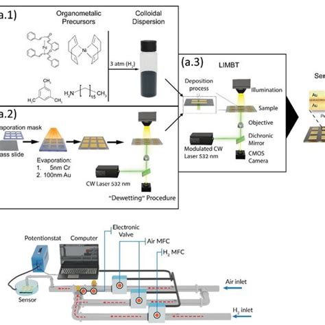 A Overall Fabrication Pathway A 1 Organometallicbased NPs Synthesis