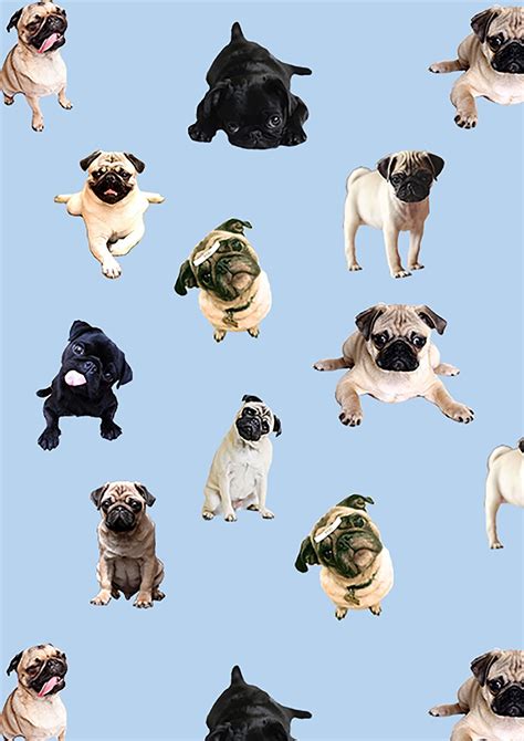 Cute Pug Iphone Wallpapers Wallpaper Cave