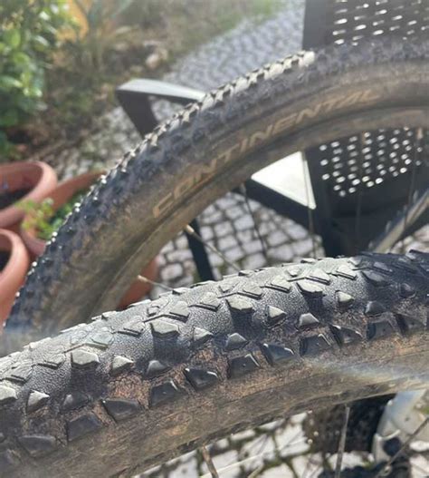 Review Race King Protection Best Mtb Bikepacking Tire In