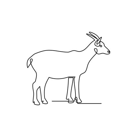 Goat Line Drawing