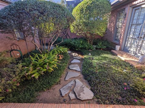 My grandparents' side yard (Dallas, TX) : r/NoLawns