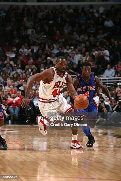 Chicago Bulls Adrian Griffin Photos and Premium High Res Pictures - Getty Images