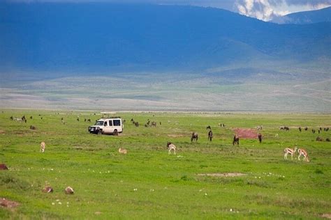 Tarangire Ngorongoro Lake Manyara Group Safari Days