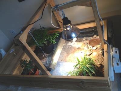 7 DIY Tortoise Enclosure Ideas You Can Easily Make (With Pictures) | Hepper