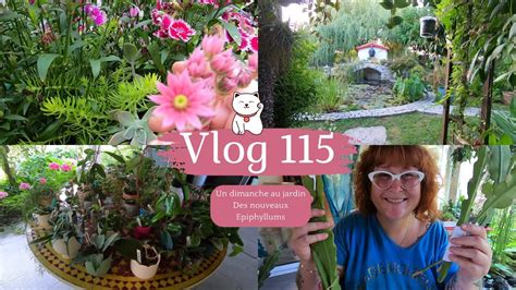 Vlog Un Dimanche Au Jardin Des Boutures D Epiphyllums En Cadeau