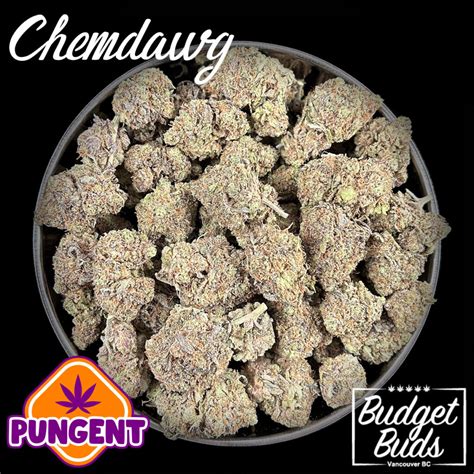 Chemdawg Hybrid Premium Oz Budget Buds