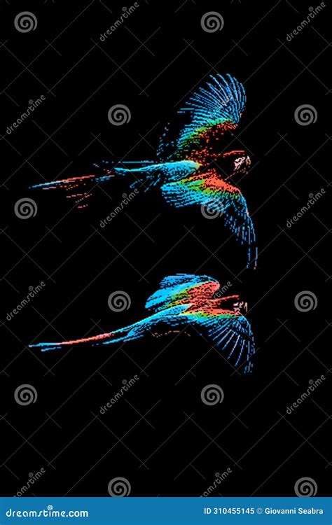 Colorful Macaw Bird Silhouette Wild Bird Isolated On Transparent White