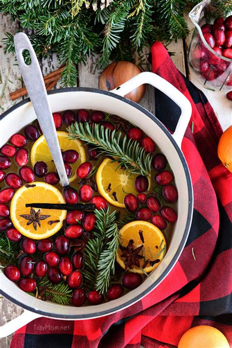 5 Amazing Winter Simmering Pot Recipes To Refresh Your Home