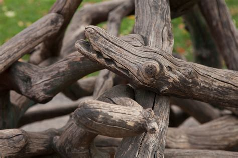 These Driftwood Sculptures Might Inspire You to Try a New Hobby - Dengarden