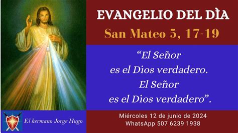 EVANGELIO DE HOY MIERCOLES 12 DE JUNIO DE 2024 PALABRA DE DIOS YouTube