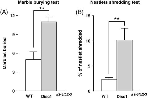 Repetitive And Compulsivelike Behaviors Lead To Cognitive Dysfunction