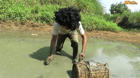 Hand Fishing Amazing Man Catch Fish By Hand On Dry Season Mud