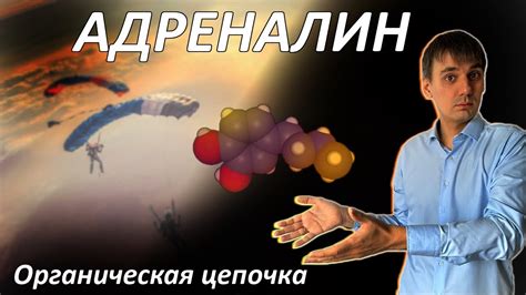 АДРЕНАЛИН органическая цепочка - YouTube