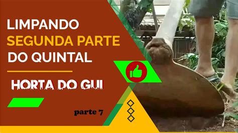 144 FAZENDO A HORTA DE MINHA MÃE LIMPANDO A SEGUNDA PARTE DO