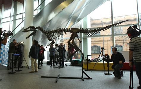 Argentina Alberga A Gualicho Insólito Dinosaurio Carnívoro De