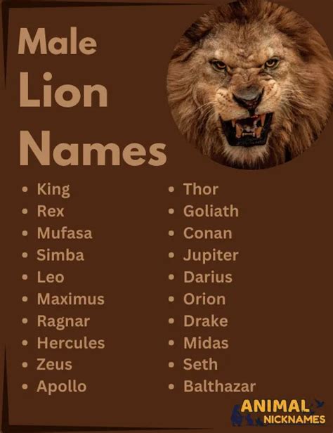 Top Lion Names Powerful Cute And Unique Name Ideas