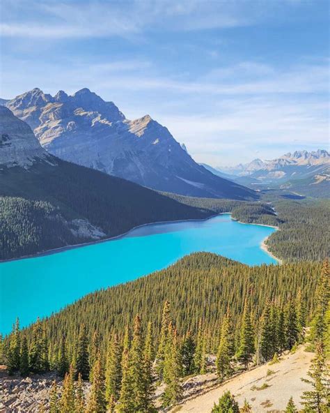 15 Things I wish I knew BEFORE Visiting Peyto Lake