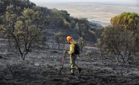 Alarma En La Sierrilla De C Ceres Por Un Incendio Que Qued A Metros