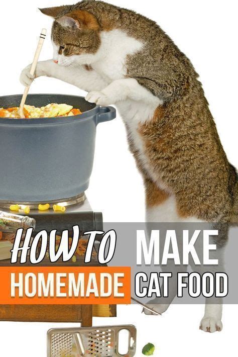 Homemade Cat Food Recipes For Senior Cats Artofit