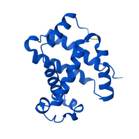 Rcsb Pdb Af Afp F Computed Structure Model Of Hemoglobin