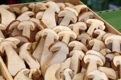 Premium Photo Close Up Of Halved Porcini Mushrooms In Wooden Box