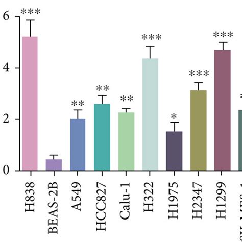 PLAC8 Expression Level In Lung Cancer Patients And Lung Cancer Cell