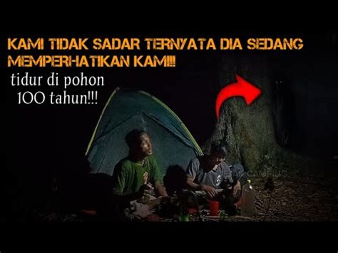 Camping Horor Tidur Di Bawah Pohon Berusia Tahun Ternyata Ada Sosok