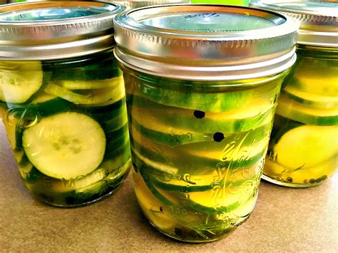 Quick and Easy Dill Pickle Slices. | The Food You Love