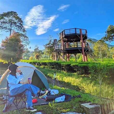 Kebun Teh Tambi Daya Tarik HTM Spot Foto Terbaru 2023