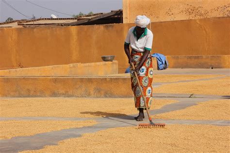 Fondazioni For Africa Verso Una Cooperazione Del Sistema Italia Il