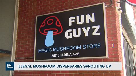 A Magic Mushroom Dispensary Opens In Canada Walqaeda