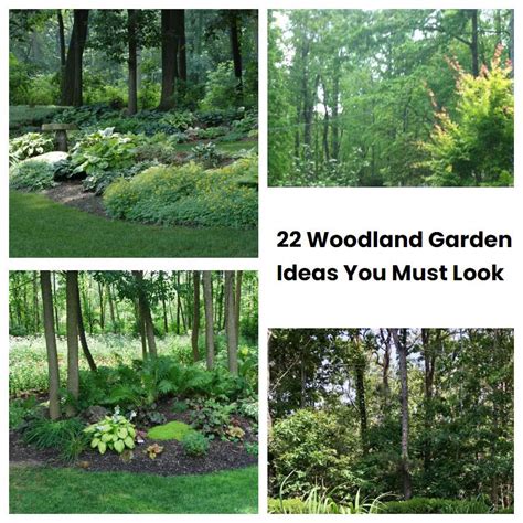 22 Woodland Garden Ideas You Must Look Sharonsable