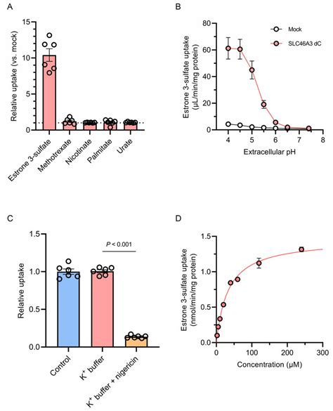 SLC46A3 Mediates Proton Coupled Estrone 3 Sulfate Uptake A Uptake Of