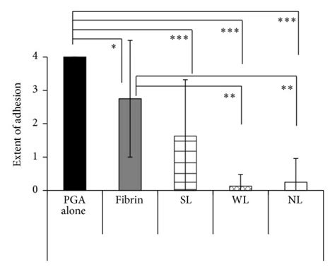 Adhesion Scores In Experiment 1 A Extent And B Severity Of Download Scientific Diagram