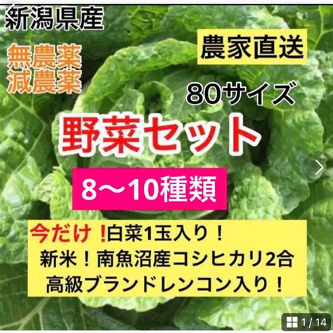 1022迄！白菜1玉！新米！南魚沼産コシヒカリ入り！新潟県産野菜セッ80サイズの通販 By Flowers Shop｜ラクマ