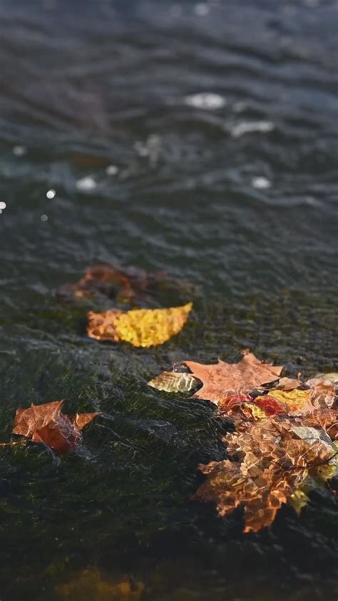 river fall  inspired stock shop