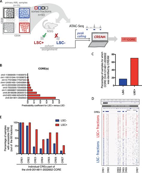 Chromatin Accessibility Profile Of Lsc Enriched And Depleted Fractions