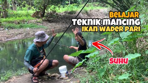 Jos Gandos Belajar Teknik Memancing Wader Pari Micro Fishing Youtube