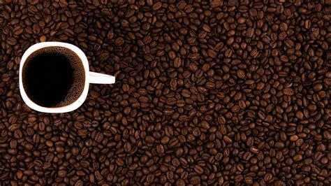 Ethiopia Earns US 1 Billion From Coffee Exports In Ten Months TV