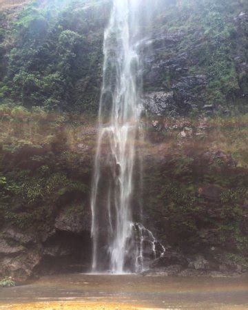 Wli Waterfalls (Hohoe, Ghana): Top Tips Before You Go - TripAdvisor