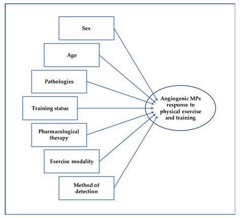 Which Statement Is True About The Factors Affecting Physical Fitness