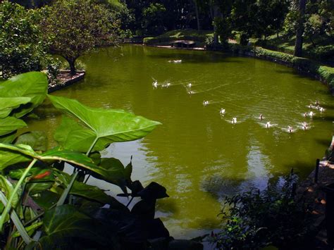 Parque Municipal De Belo Horizonte Belo Horizonte Cidades