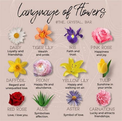 Pin By Brenda Rich On The Old Crafts Flower Meanings Flower Chart