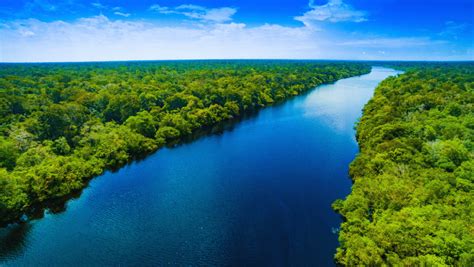 O Que Fazer Amazonas - O que fazer no Amazonas: guia completo de turismo