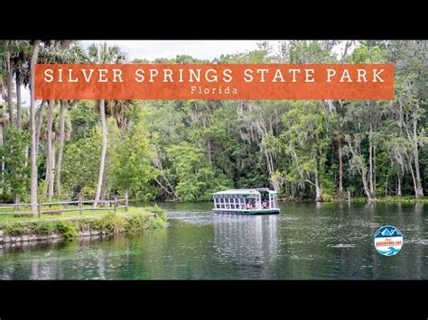 How To Spend Your Day At Silver Springs State Park Florida Youtube