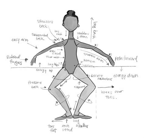 9 Basic Ballet Terms & Benefits | Ballet terms, Ballet body, Ballet ...