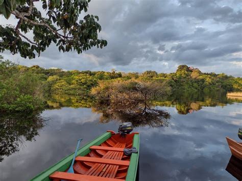 Sunrise of the Amazon Rainforest Stock Image - Image of brasil, jungle ...